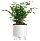 Vaso Autoirrigável 14 cm Branco